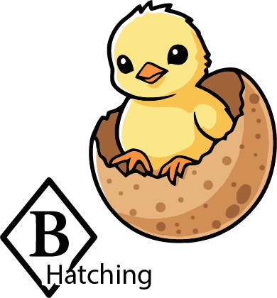 diamondbhatching.com